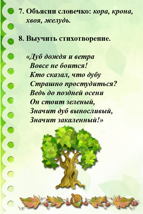 Лес лексическое. Декстческая темп деревья. Лексическая тема деревья. Тема недели деревья. Лексическая тема деревья и кустарники.